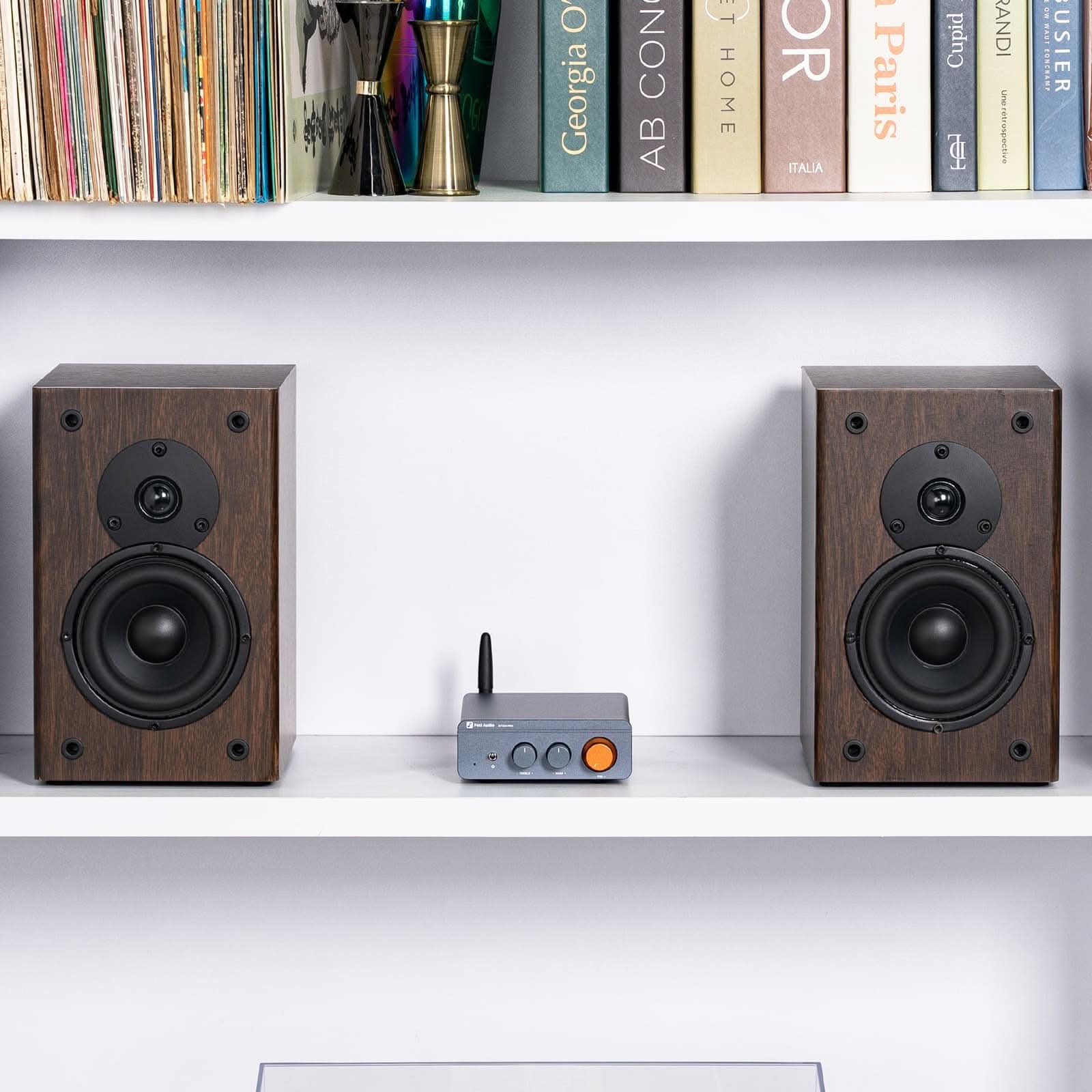 Rear panel of the Fosi Audio BT20A Pro with its RCA input and speaker terminals