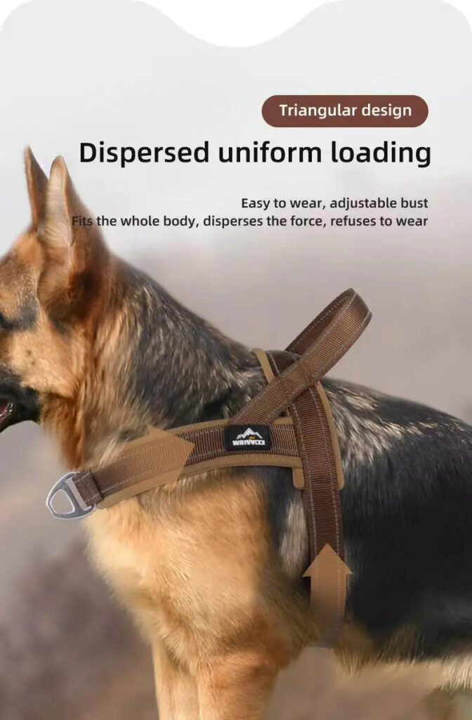 German Shepherd in profile wearing a brown padded harness beside a graphic about its triangular design that spreads load