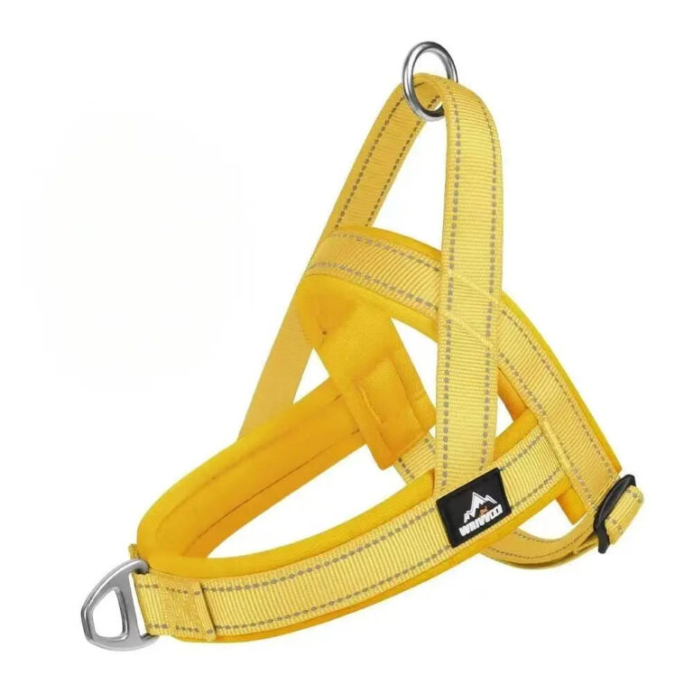 Heapet Dog Gear: How to Match the Right Piece to Your Dog