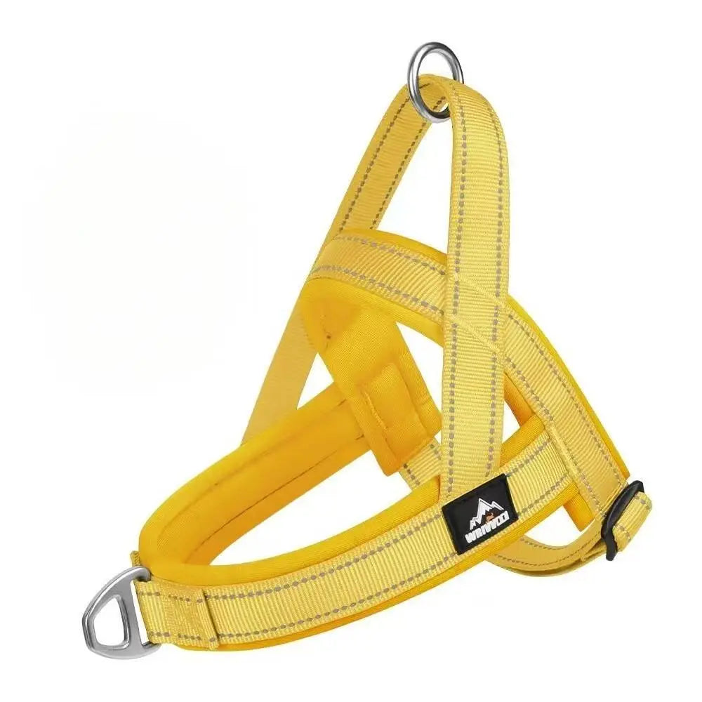 Heapet Dog Gear: How to Match the Right Piece to Your Dog