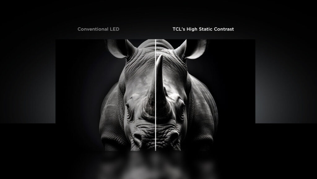 Split-screen black-and-white rhino portrait comparing a conventional LED picture with TCL's high static contrast