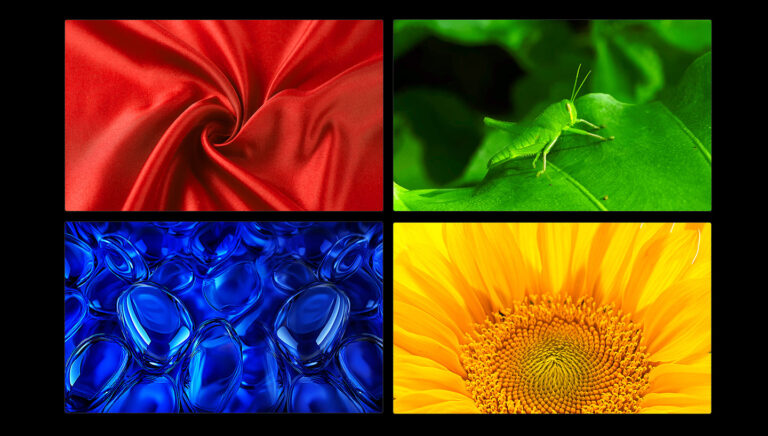 Four-panel color demonstration showing red satin, a green grasshopper, blue glass droplets and a sunflower, from TCL's QM8L product page