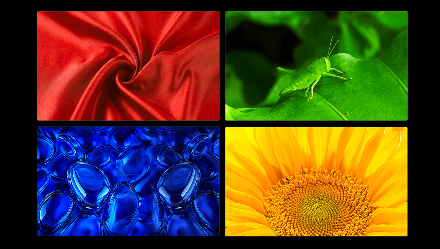 Four-panel color demonstration showing red satin, a green grasshopper, blue glass droplets and a sunflower, from TCL's QM8L product page