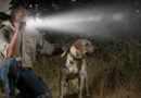 A man crouching beside his dog at night, holding a flashlight that throws a bright beam through tall grass