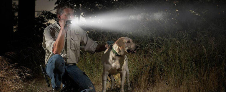 A man crouching beside his dog at night, holding a flashlight that throws a bright beam through tall grass