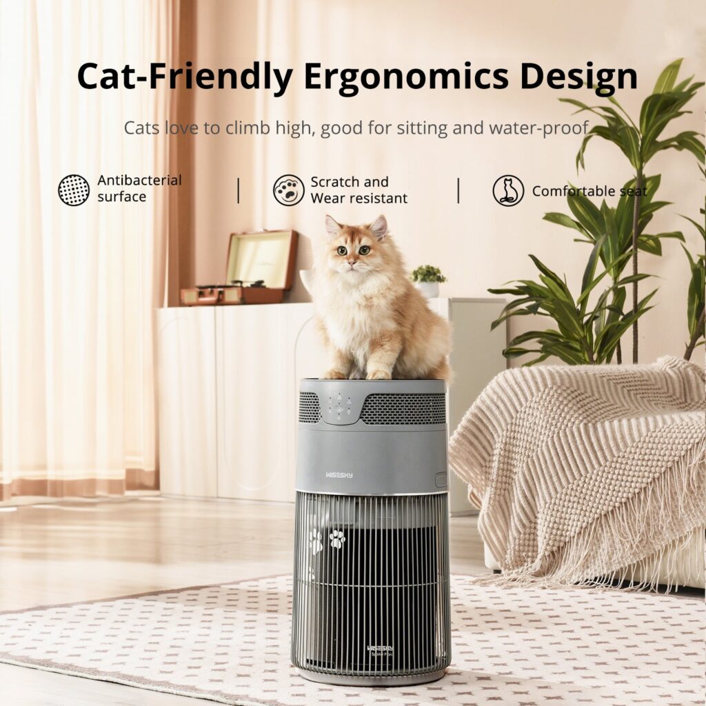 Gray WISESKY W-Cat purifier in a living room with a long-haired cat sitting on top