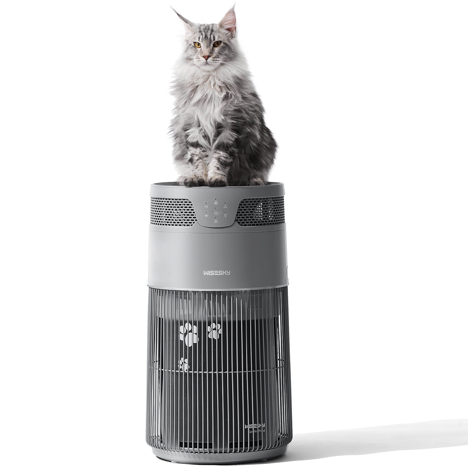 WISESKY Air Purifiers: How to Choose the Right One for a Cat Home